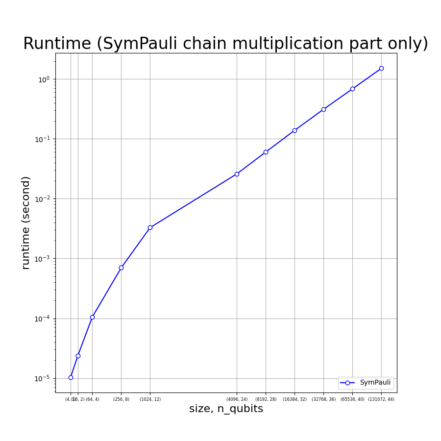 Benchmark result of chain multiplication part (Sympauli only)